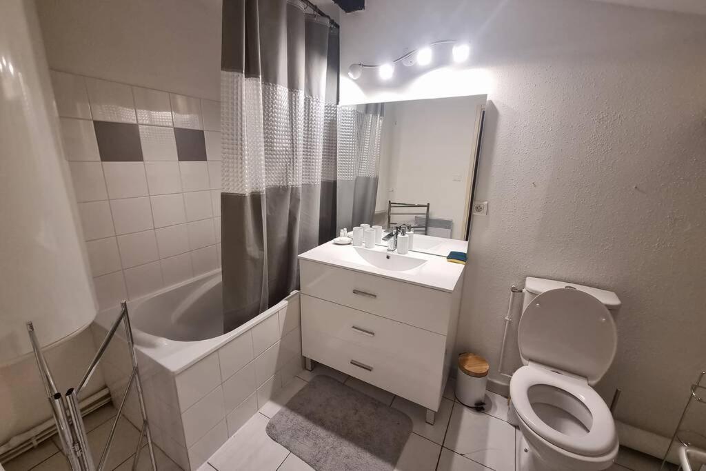 Appartement Exceptionnel 4 Etoiles Hyper Centre Albi 65 M2 Au 4Eme Etage Sans Ascenseur Avec Une Tour Du 12Eme Siecle מראה חיצוני תמונה